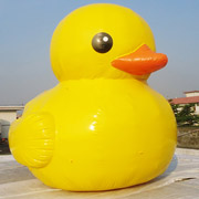 inflatable pool duck